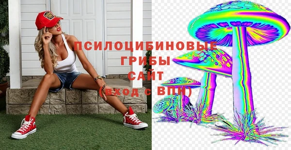 a pvp Каменногорск
