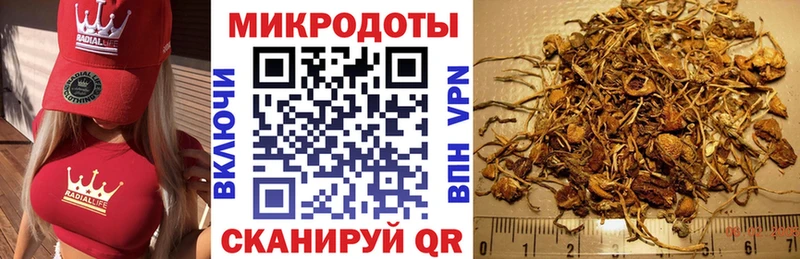 Псилоцибиновые грибы Psilocybe  Купить закладки  Новосиль 